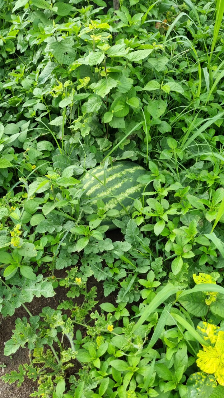 WhatsApp Image 2026-01-18 at 21.19.07 (2).jpeg