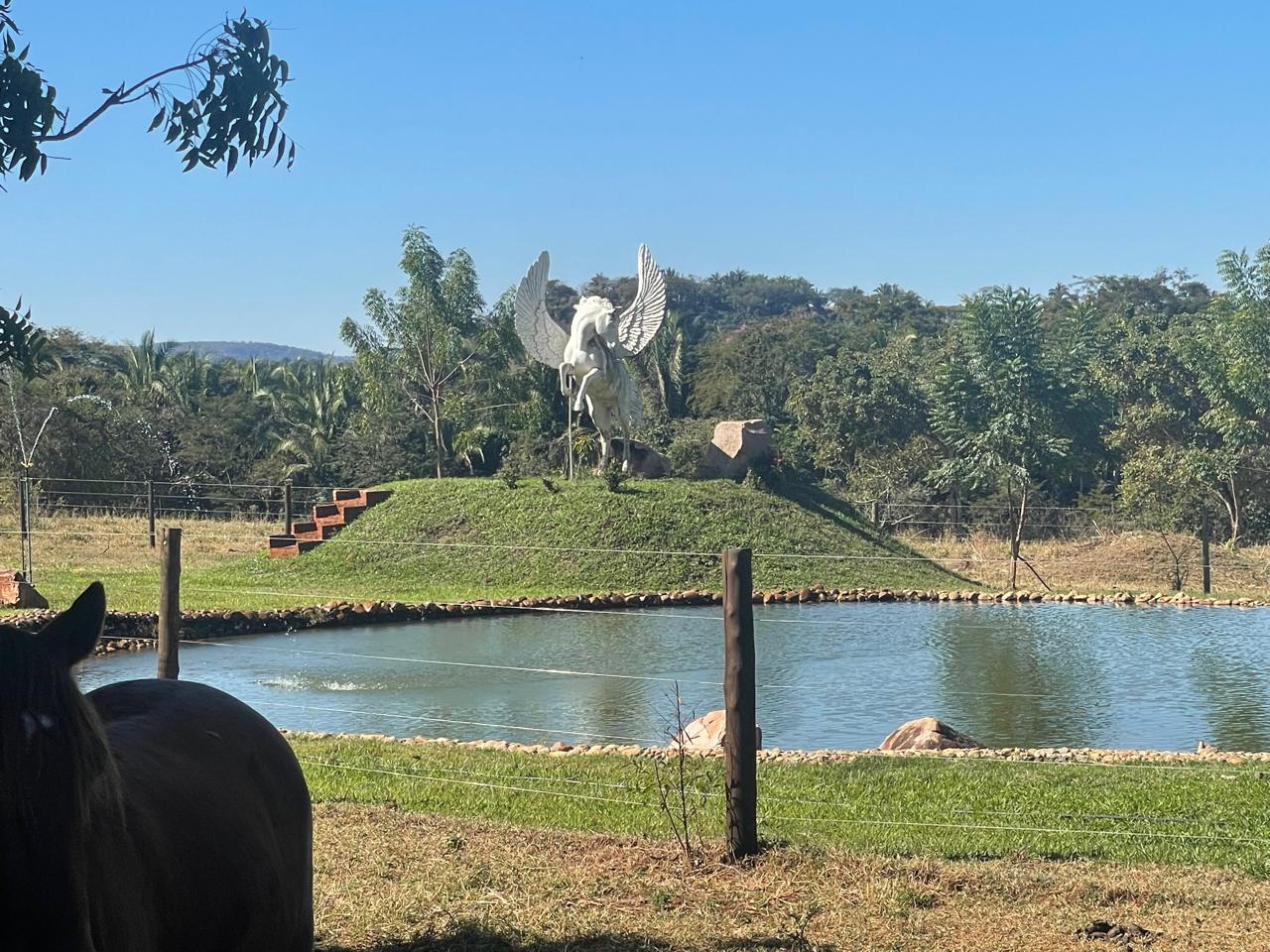 WhatsApp Image 2026-01-18 at 21.19.49 (1).jpeg