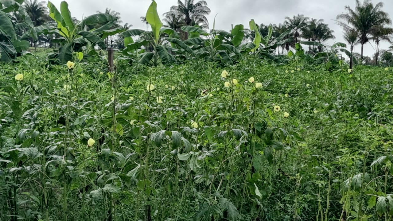 WhatsApp Image 2026-01-18 at 21.19.06 (2).jpeg