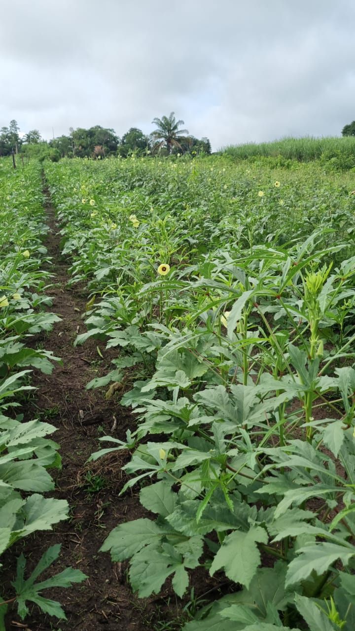 WhatsApp Image 2026-01-18 at 21.19.07.jpeg