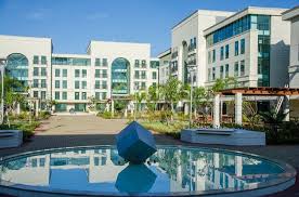 download THE UNION.jpeg