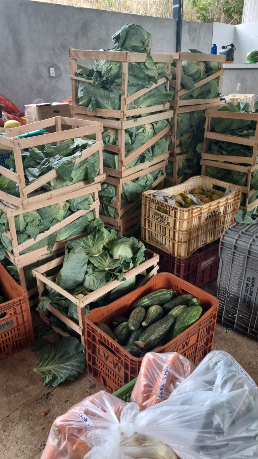 WhatsApp Image 2026-01-18 at 21.19.05.jpeg