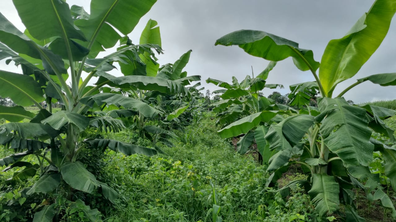 WhatsApp Image 2026-01-18 at 21.19.07 (1).jpeg